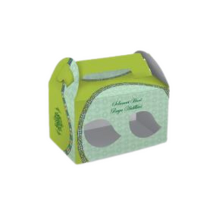 RAYA HANDLE BOX W/WINDOW GREEN 8.5X4.5X5" 5s